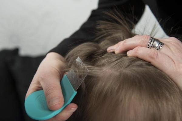 'Super lice' outbreak hits 25 states