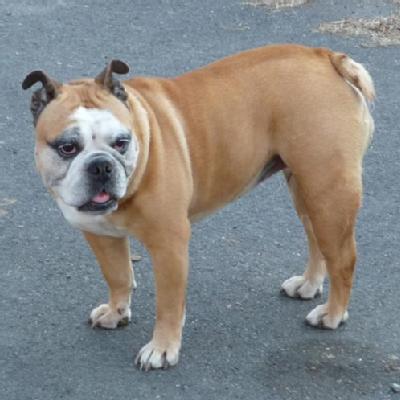 Charlotte July 29, 2000- April 7, 2015