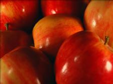 Apples Good for Your Heart