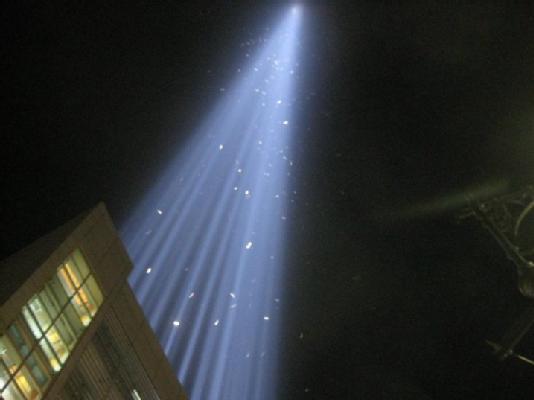 Birds in the WTC Memorial Lights