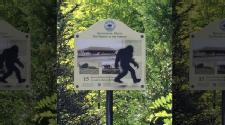 Maine police say Bigfoot artist painted mythical beast on public property