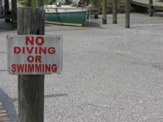 Millions of Dead Fish... Thanks BP!