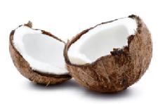 Coconut Basics