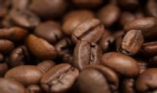 Coffee Certification Terms, What's What