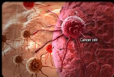 Random Mutations Responsible for About Two-Thirds of Cancer Risk