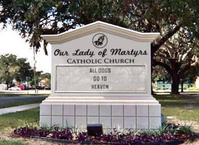 Do Dogs go to Heaven?