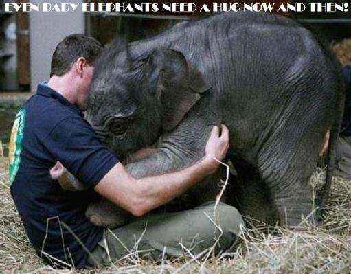 Animals Help Us Feel Better