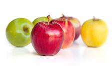 Gluten Free and Still Feeling Sick?