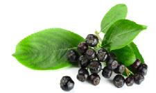 Monk Fruit and Four Other Superfoods You May Have Never Heard of But Need to Know