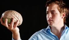 First Near-Fully Formed Brain Grown In Lab