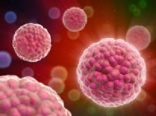 First pre-surgery breast cancer drug approved by FDA