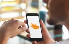 Our attention span is now less than that of a goldfish, Microsoft study finds