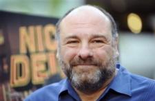 James Gandolfini's last meal: Fried food fest, 8 alcoholic drinks