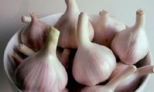 Garlic Protects Our Lungs