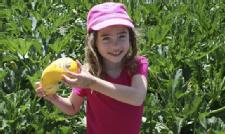 Get To Know Your Farmers