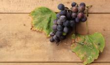 Grapes, Responsible for the French Paradox?