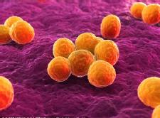 Top CDC expert declares 'We've reached the end of antibiotics'