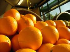 Eating food high in vitamin C may reduce risk of stroke