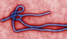 Ebola prevention tips from the CDC