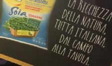 Edamame: Taste and Wellness