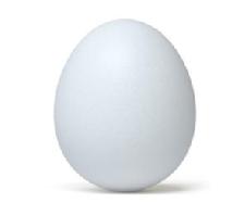 Eggs: Nutritious All Day Long