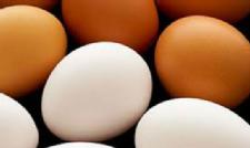Eggs: Cage-free, natural, organic - What's the difference?