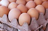 Egg Yolks Almost as Bad for Arteries as Smoking
