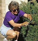 Even a Little Exercise Helps the Heart