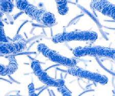 Foodborne Illness & Your Family