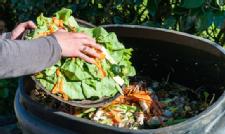 Cutting Down On Food Waste