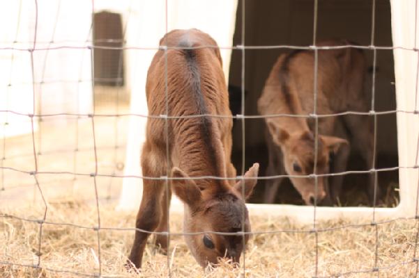 New Photos From The Farm