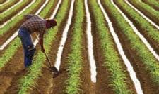 What is The Farm Bill to most consumers?