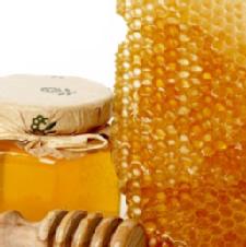 The Sweet Benefits of Honey