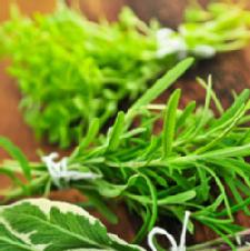 Fresh vs Dry: Herb Shopping
