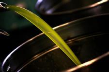 Scientists discover why olive oil lowers blood pressure