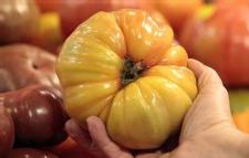 Organic food no more nutritious than non-organic: study