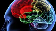 Less sleep tied to brain shrinkage, cognitive decline