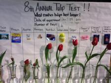 From Tom Kraeutler - Red Bull Perks Up Flowers