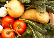 Mediterranean Diet Appears To Boost Aging Brain Power