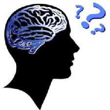 Reducing calories may preserve memory