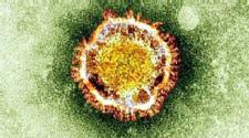 MERS outbreak becomes more urgent
