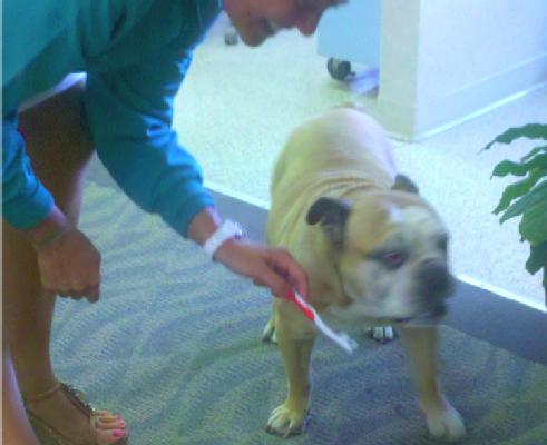 Doug and Charlotte at the Dentist