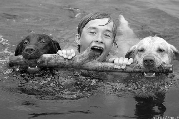 No Babysitters Needed