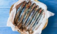 Sardines are Rich in Vitamin D and 6 More Things You Need to Know