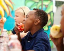 School Lunch Upgrades