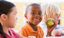 The School Food Environment