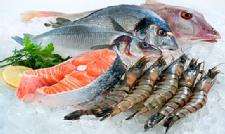 Seafood could be a greater catch