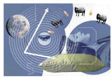 Short Sleepers May Catch More Colds