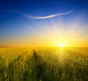 Sunlight Might Be Good for Your Blood Pressure