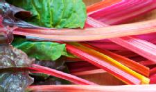 5 Reasons to Consume Two Antioxidants You Haven't Heard of Yet